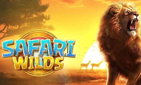 Slot Safari Wilds, apostas, técnicas, ganhar, cassino online